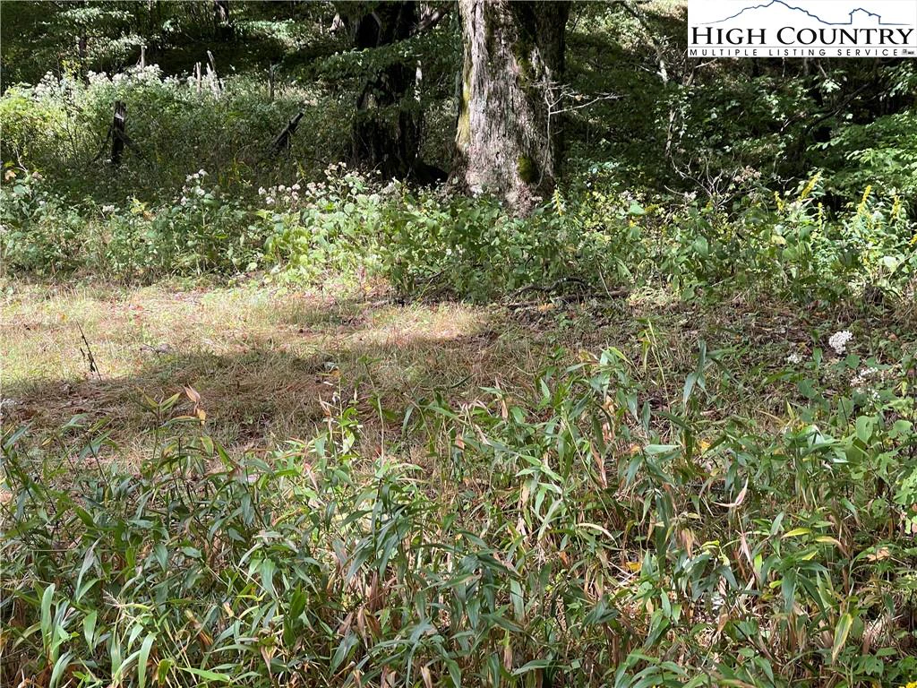 Image number 5 for the current listing