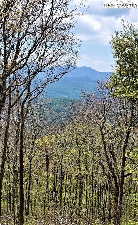 Image number 1 for the current listing