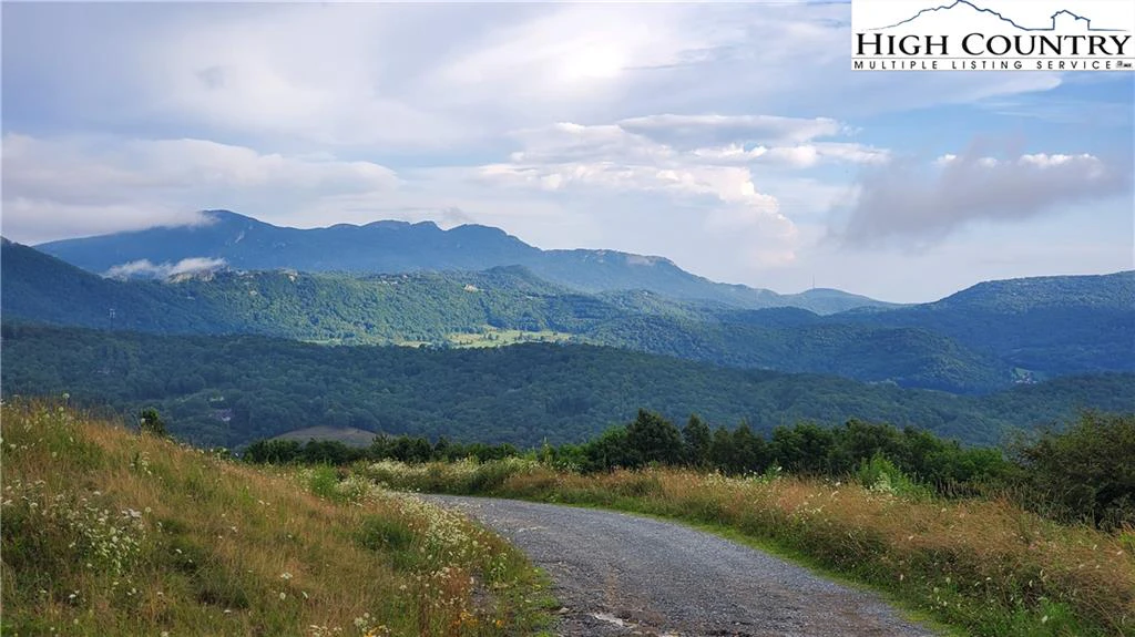 Image number 4 for the current listing
