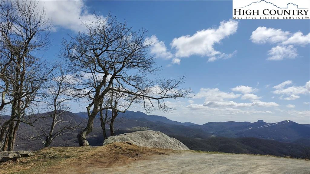 Image number 7 for the current listing