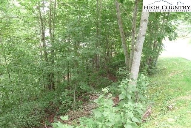 Image number 6 for the current listing