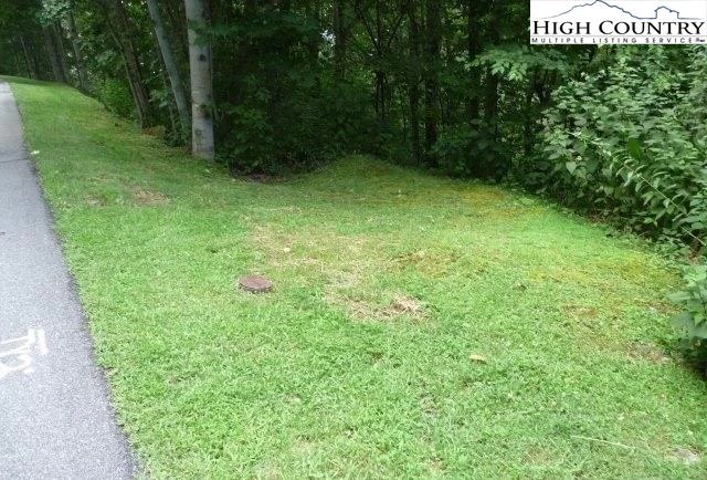 Image number 7 for the current listing