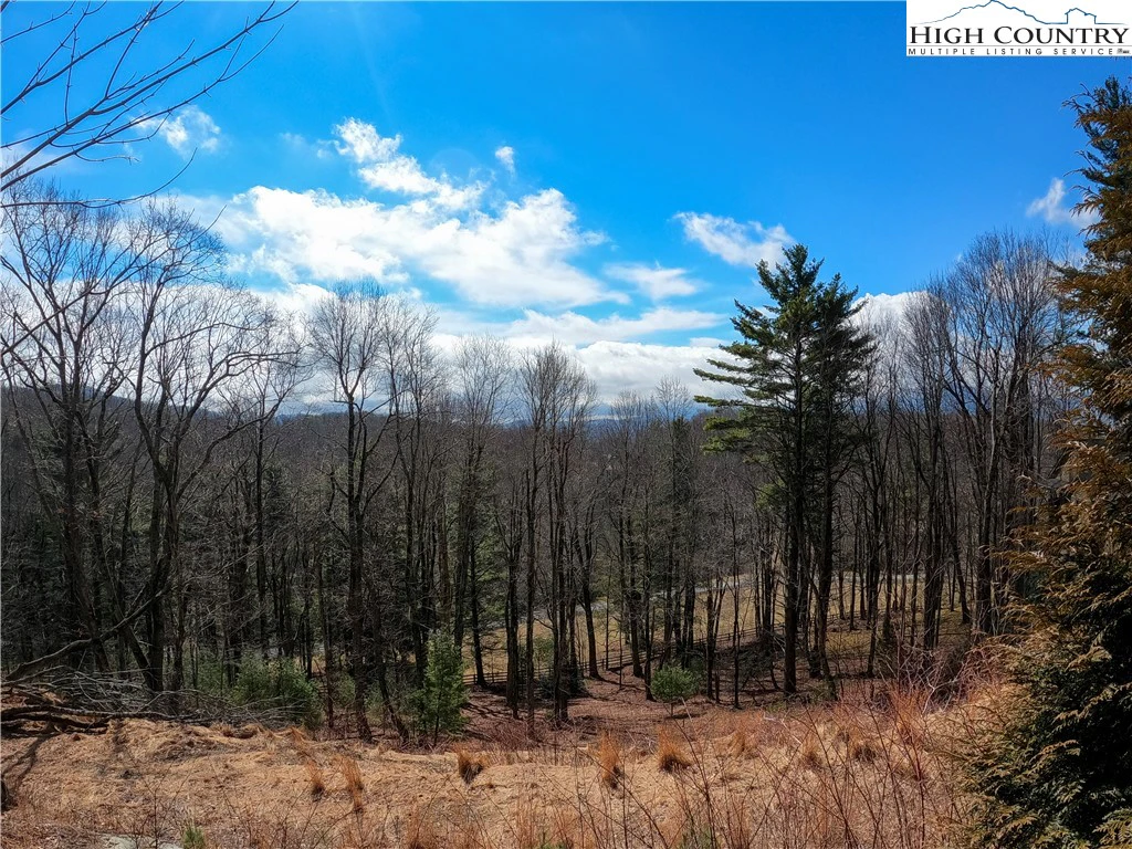 Image number 1 for the current listing