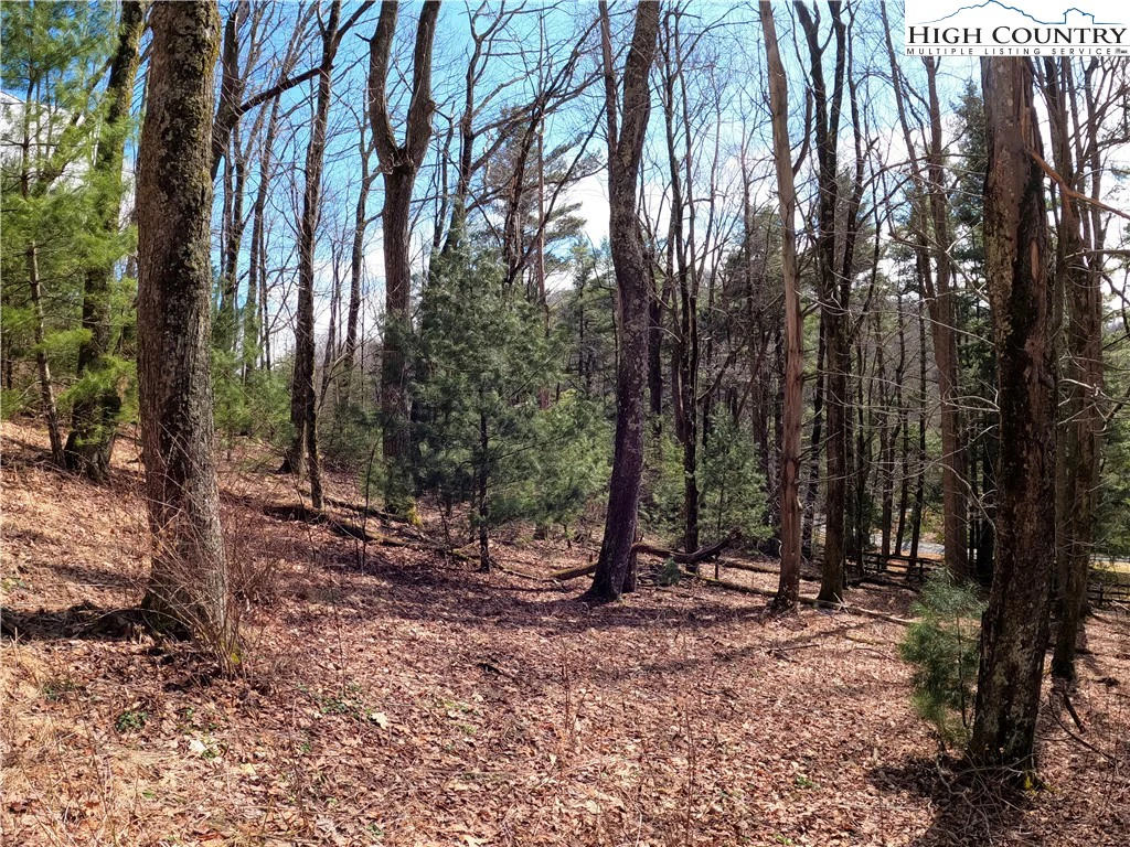 Image number 20 for the current listing