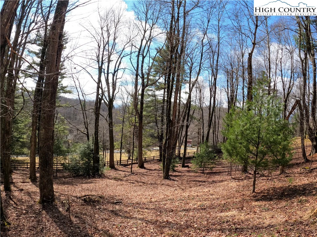 Image number 19 for the current listing
