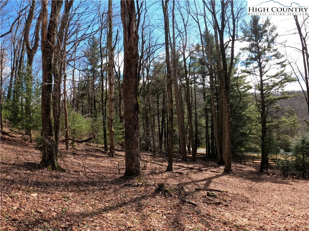 Image number 18 for the current listing