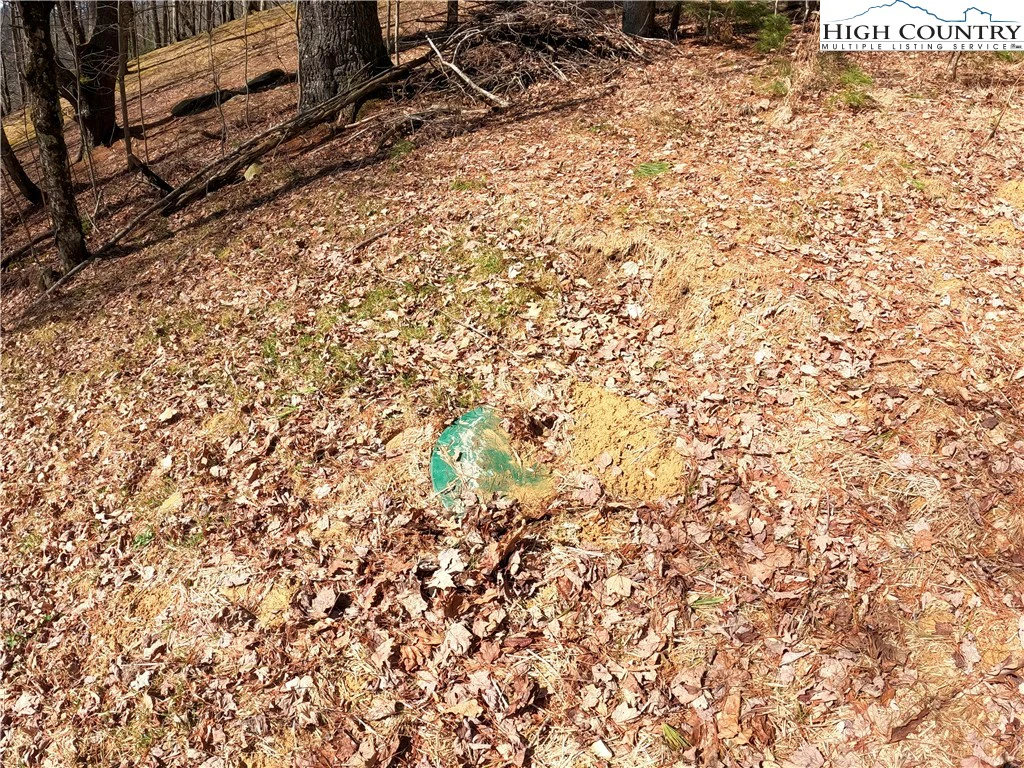 Image number 2 for the current listing