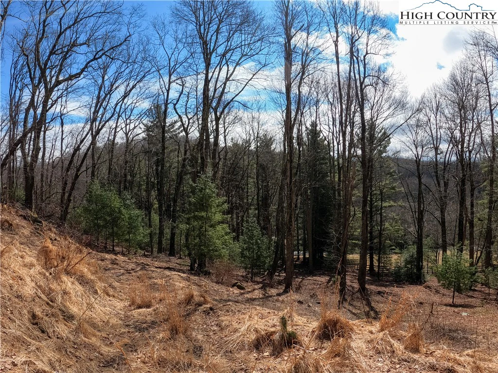 Image number 16 for the current listing