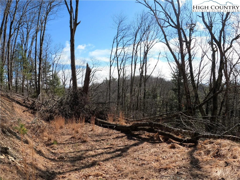 Image number 14 for the current listing