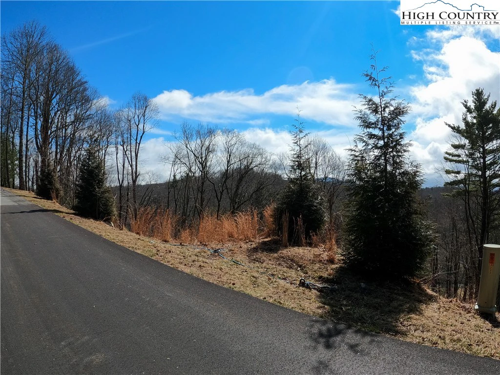 Image number 12 for the current listing