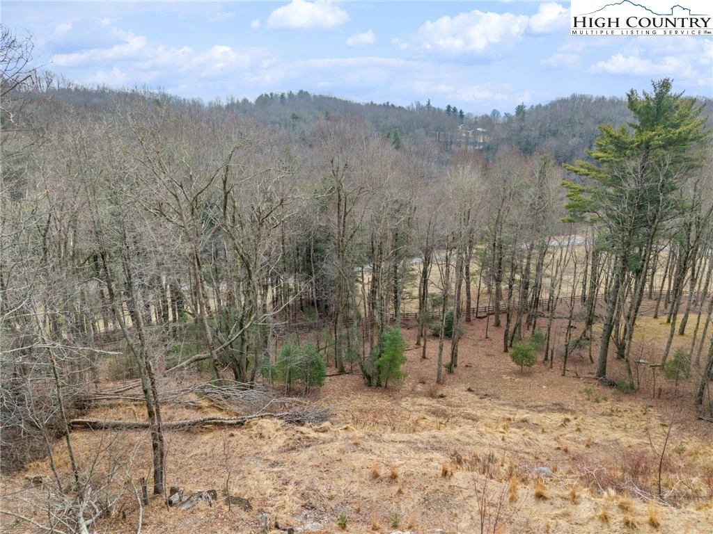 Image number 9 for the current listing