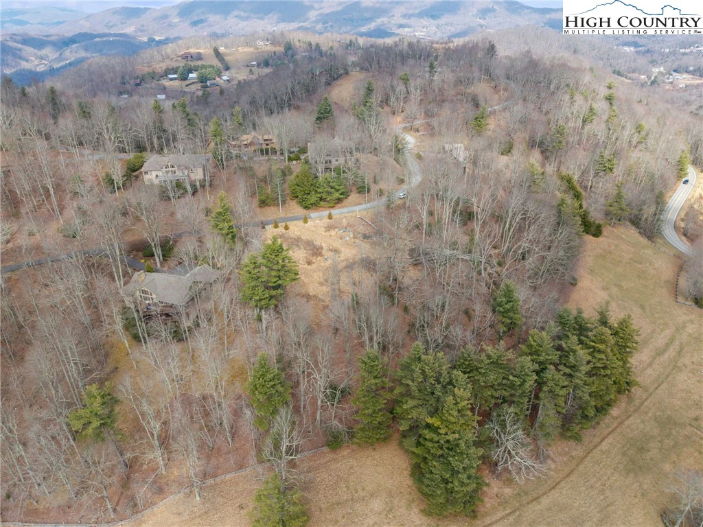 Image number 4 for the current listing