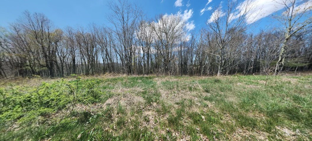 Image number 2 for the current listing