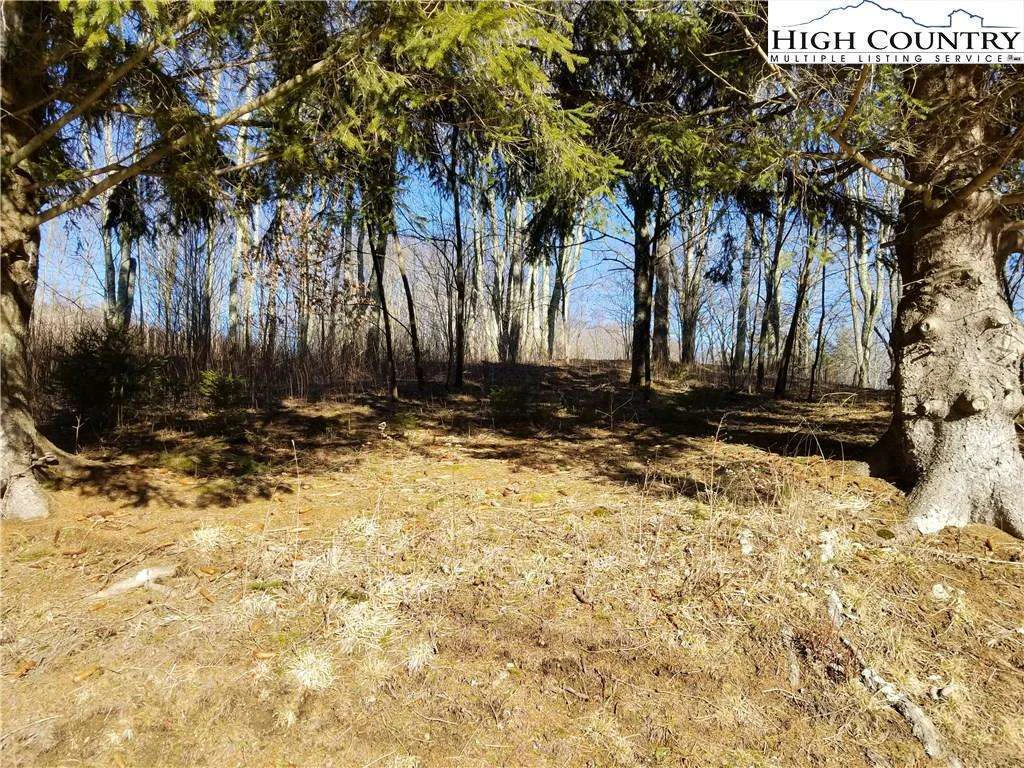 Image number 7 for the current listing