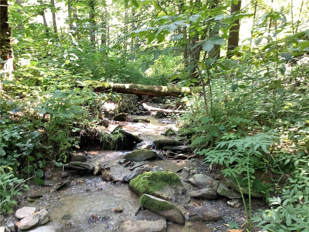 Image number 1 for the current listing