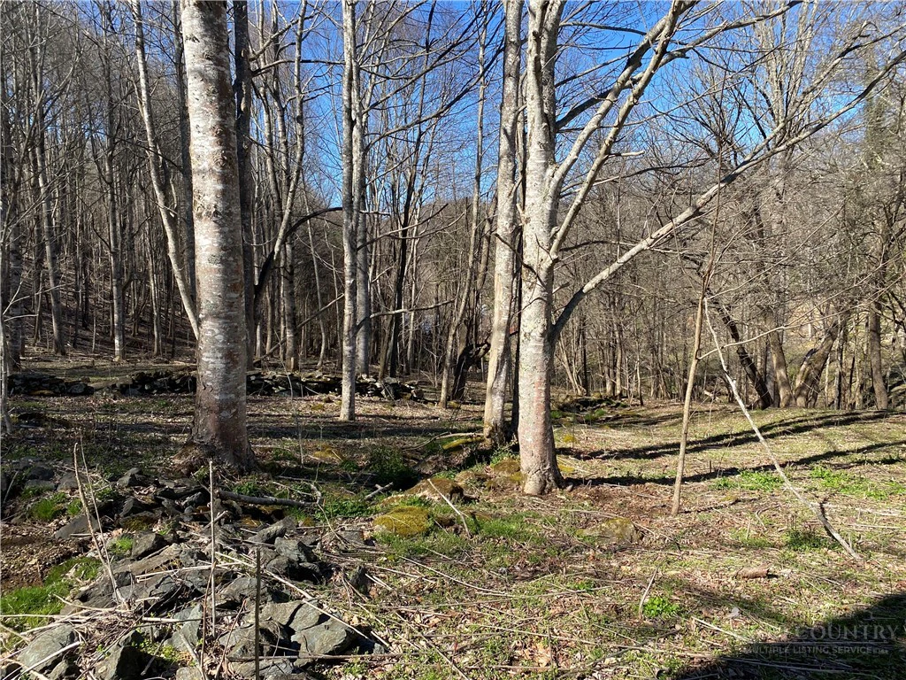 Image number 3 for the current listing
