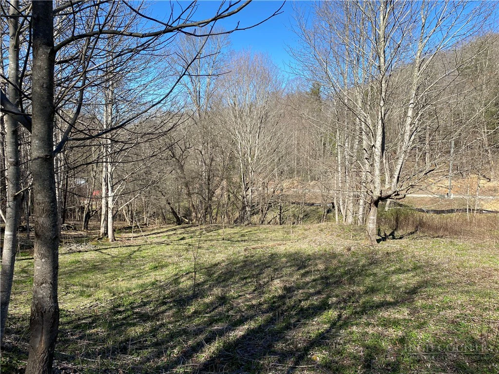 Image number 5 for the current listing