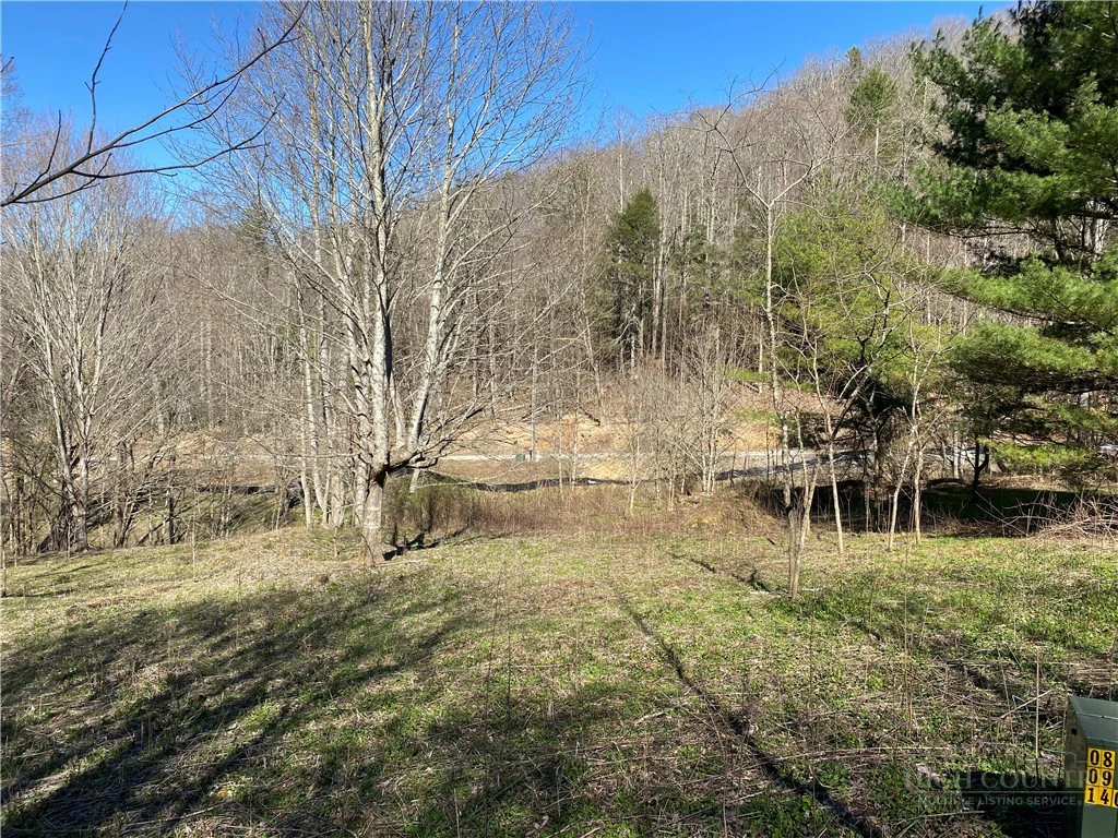 Image number 6 for the current listing