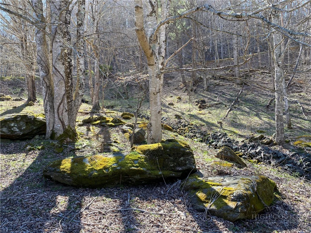 Image number 9 for the current listing