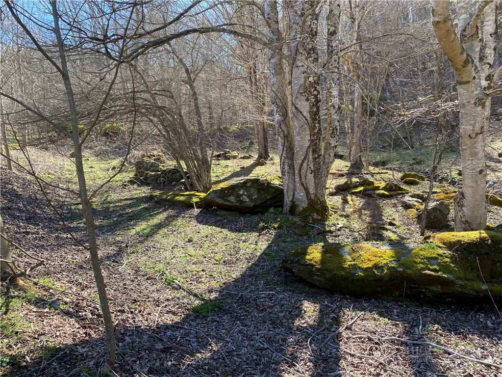 Image number 10 for the current listing