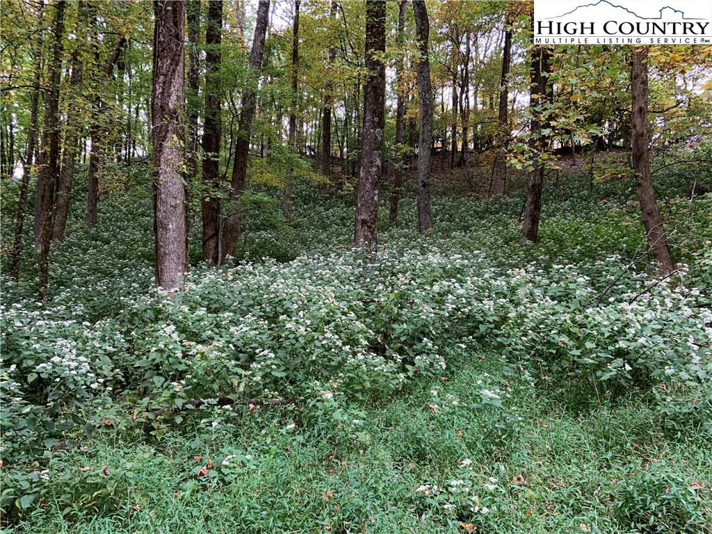 Image number 1 for the current listing