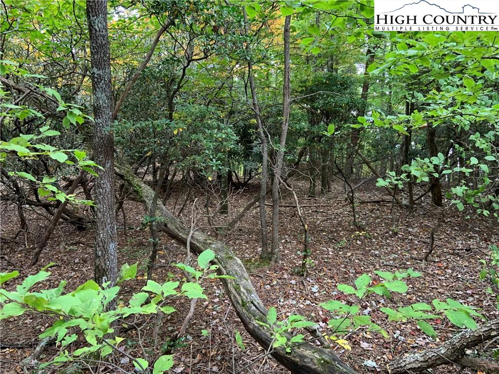 Image number 4 for the current listing