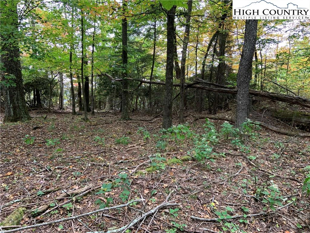 Image number 5 for the current listing