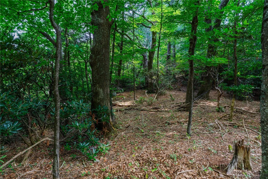 Image number 7 for the current listing
