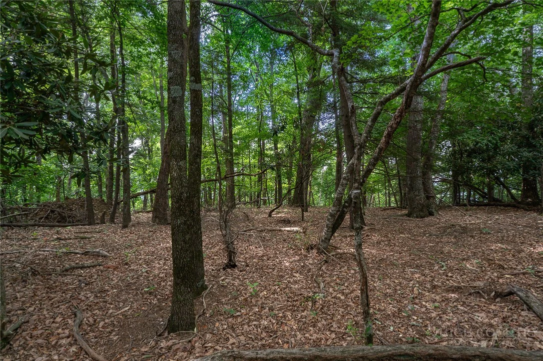 Image number 2 for the current listing