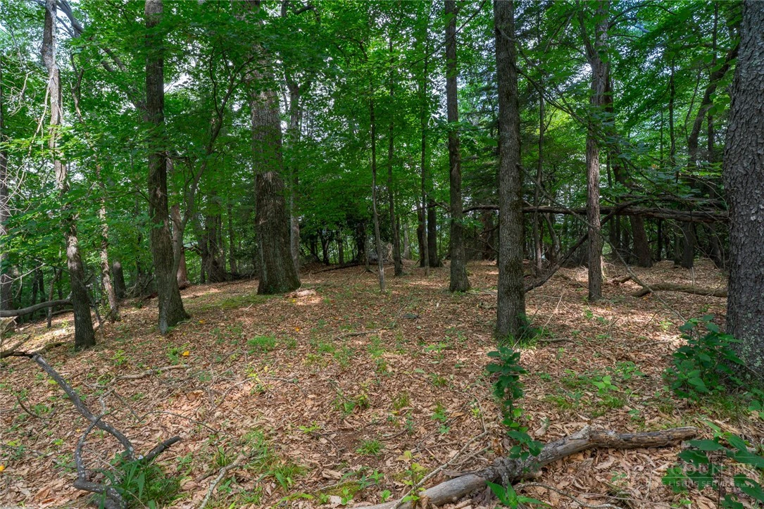 Image number 11 for the current listing