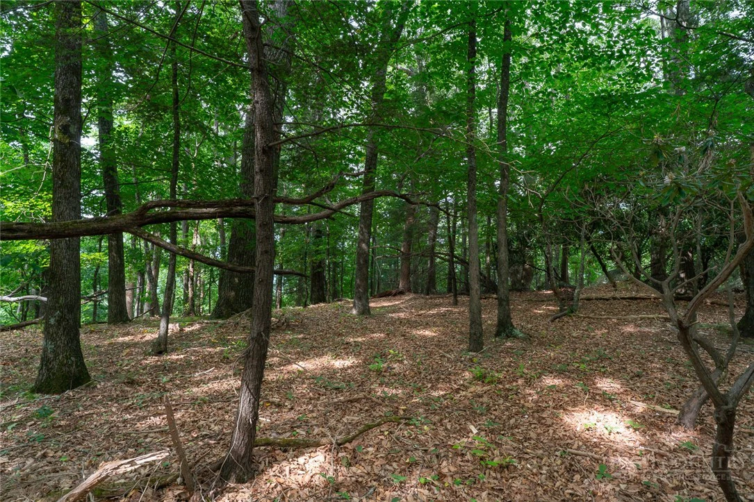 Image number 12 for the current listing