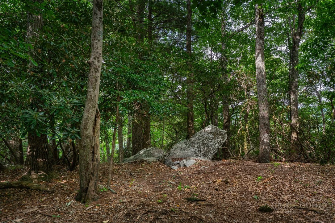 Image number 13 for the current listing