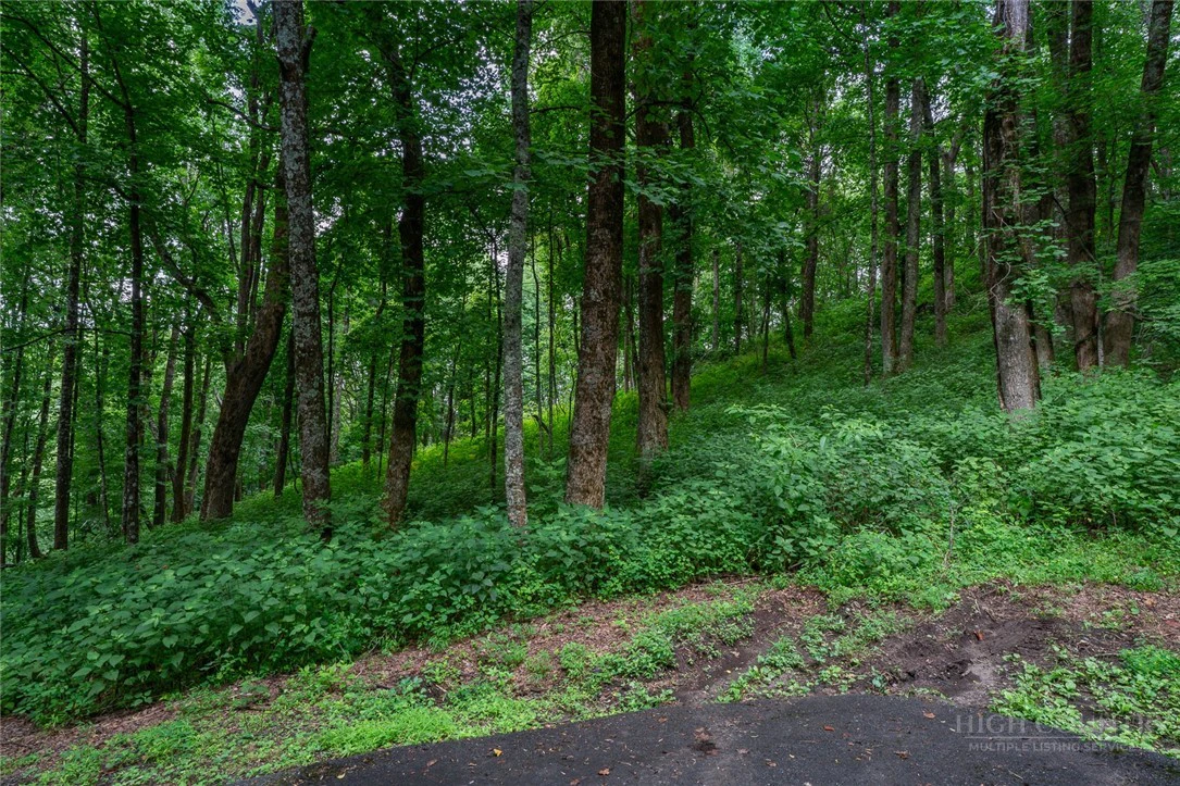 Image number 18 for the current listing