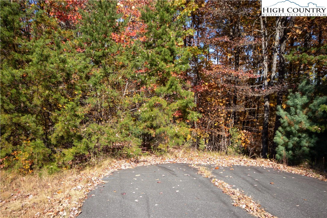Image number 1 for the current listing