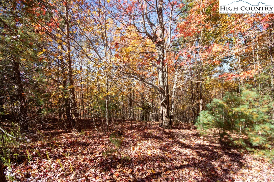 Image number 5 for the current listing
