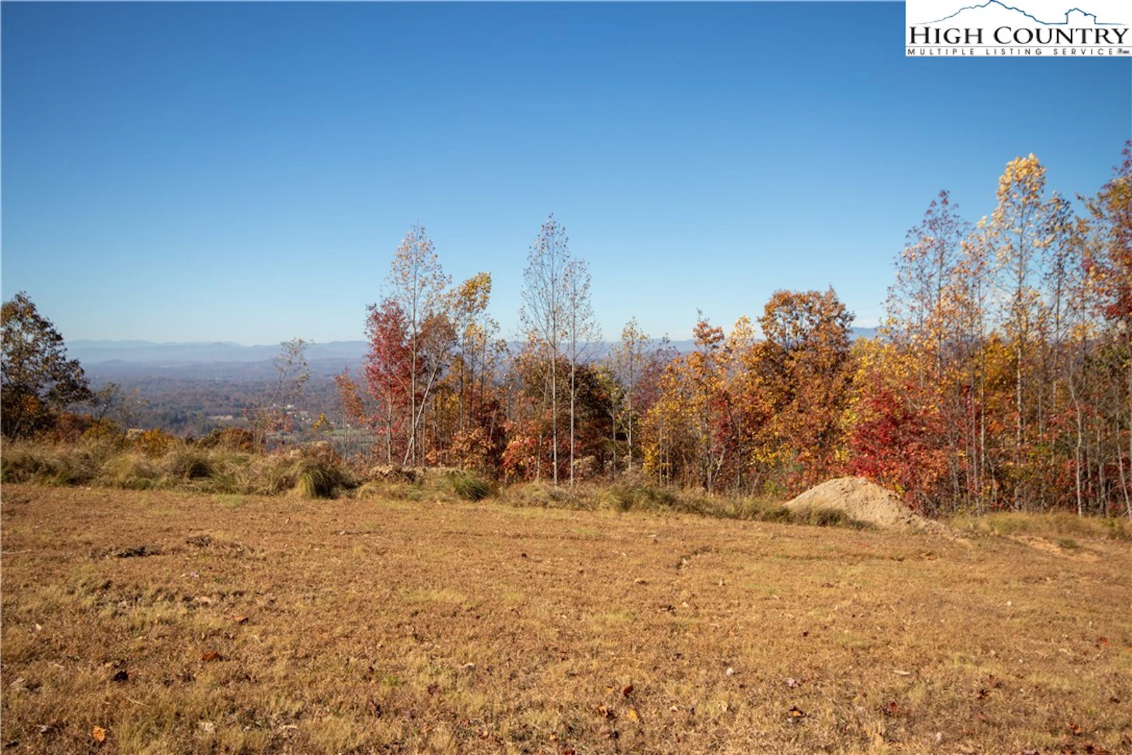 Image number 6 for the current listing