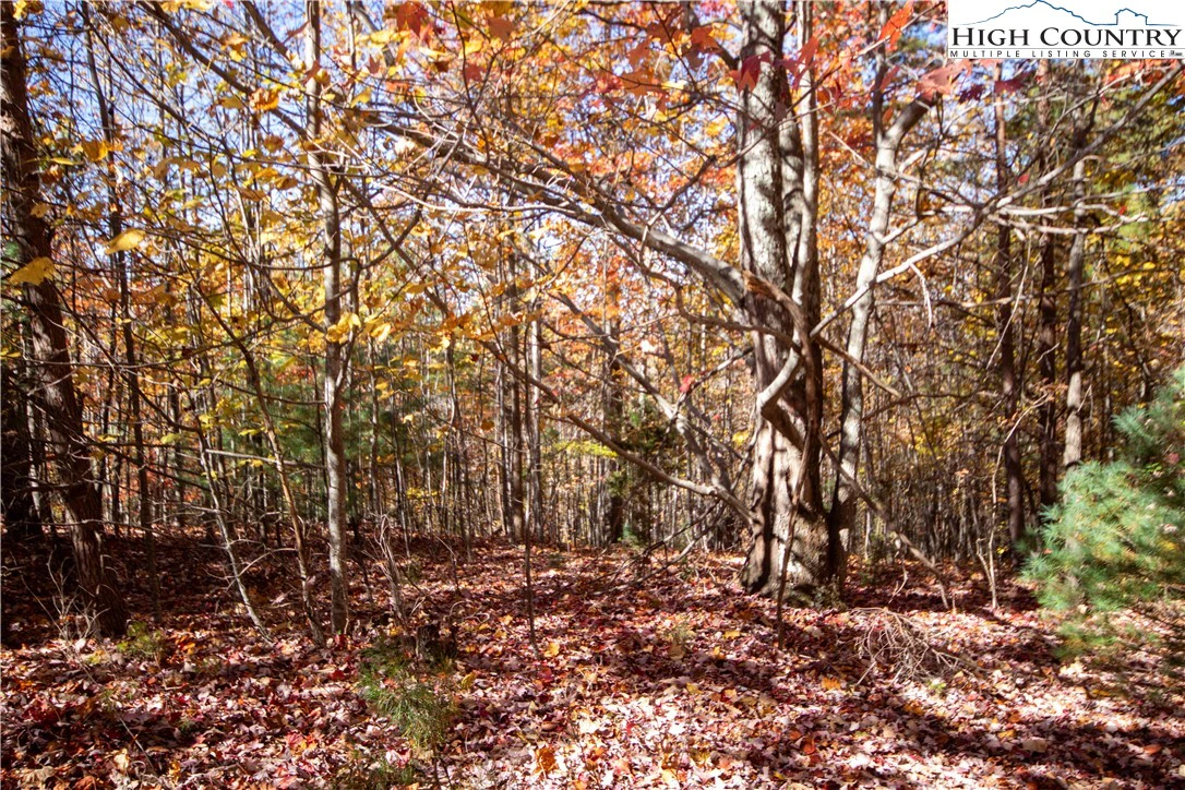 Image number 7 for the current listing
