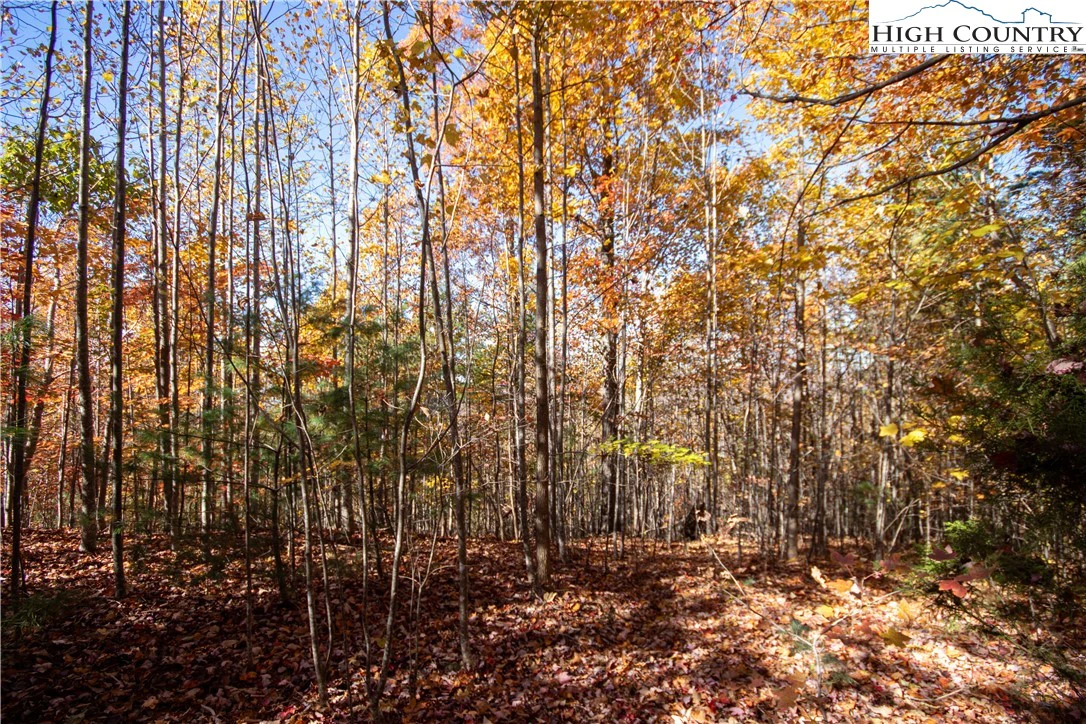 Image number 9 for the current listing