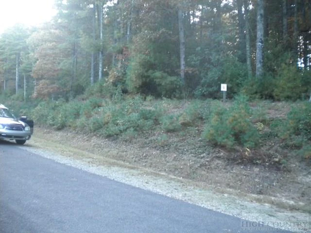 Image number 1 for the current listing