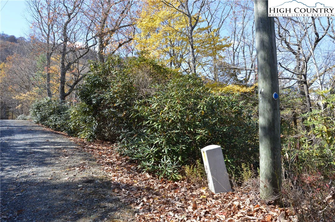 Image number 1 for the current listing