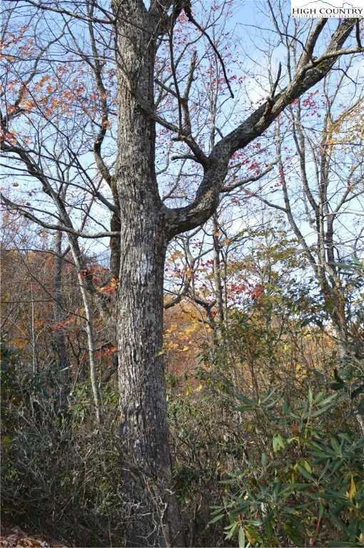 Image number 20 for the current listing
