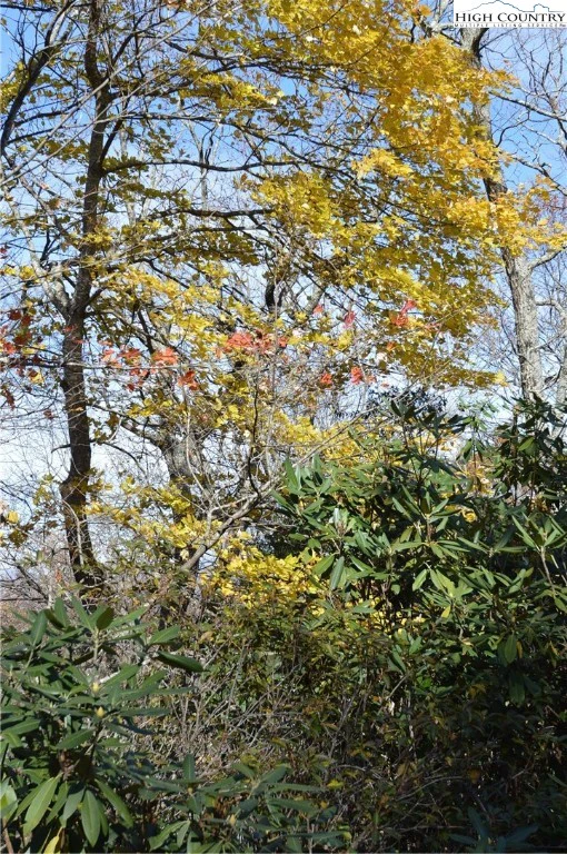 Image number 19 for the current listing