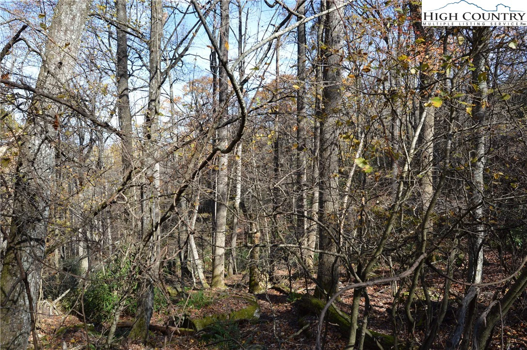 Image number 18 for the current listing