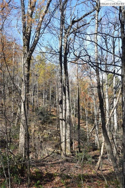Image number 2 for the current listing