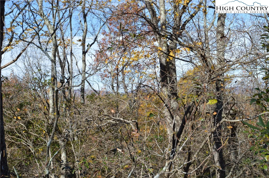 Image number 11 for the current listing