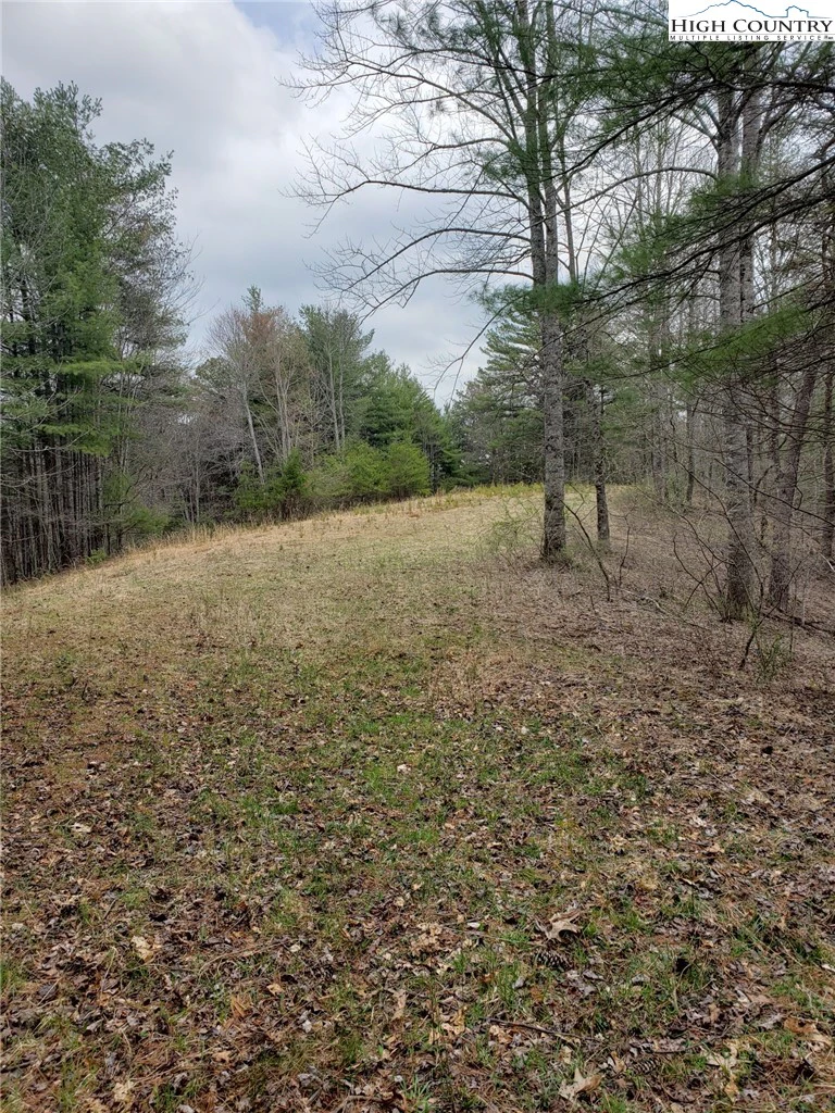 Image number 12 for the current listing