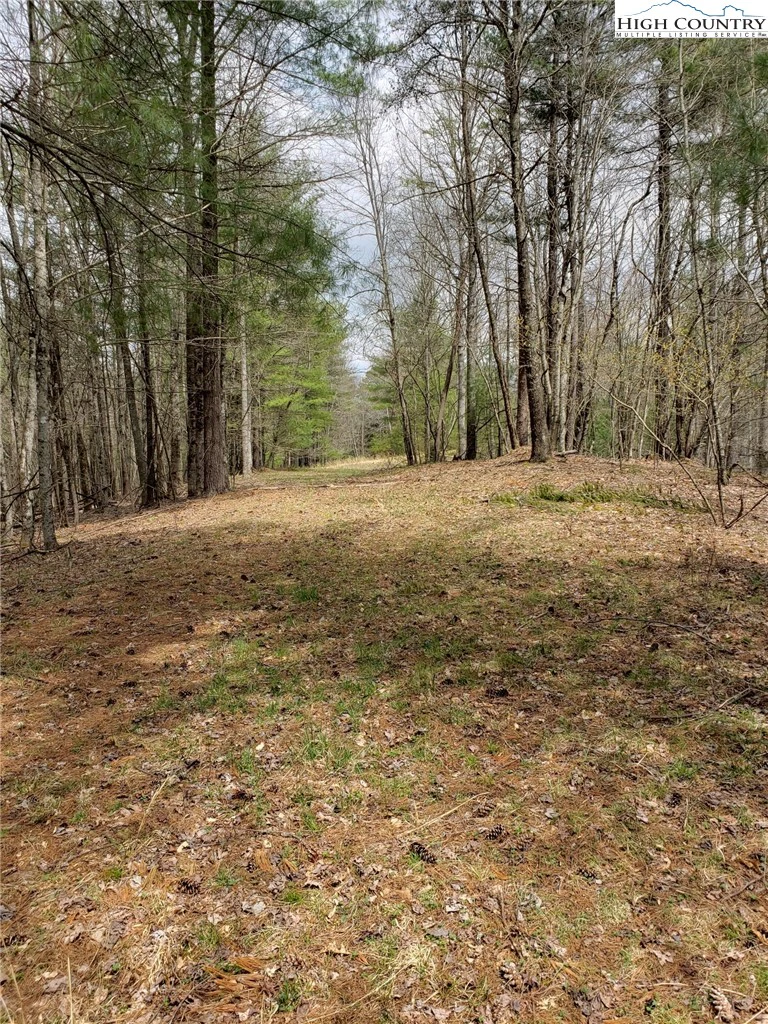 Image number 9 for the current listing