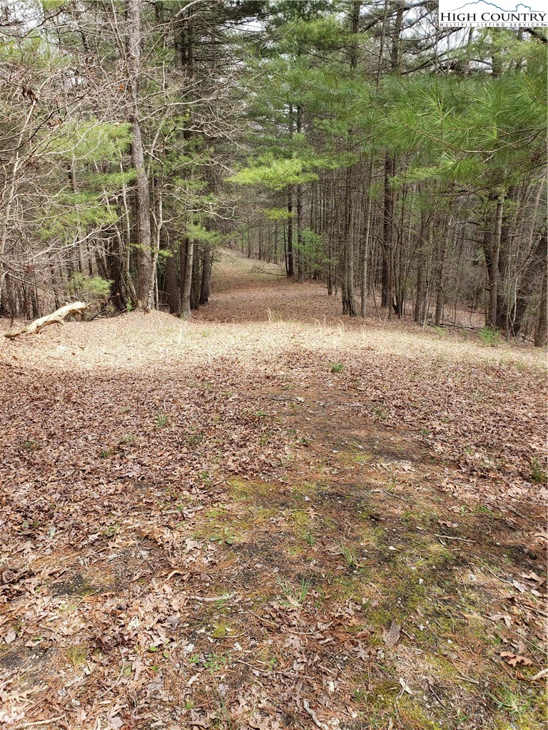 Image number 8 for the current listing