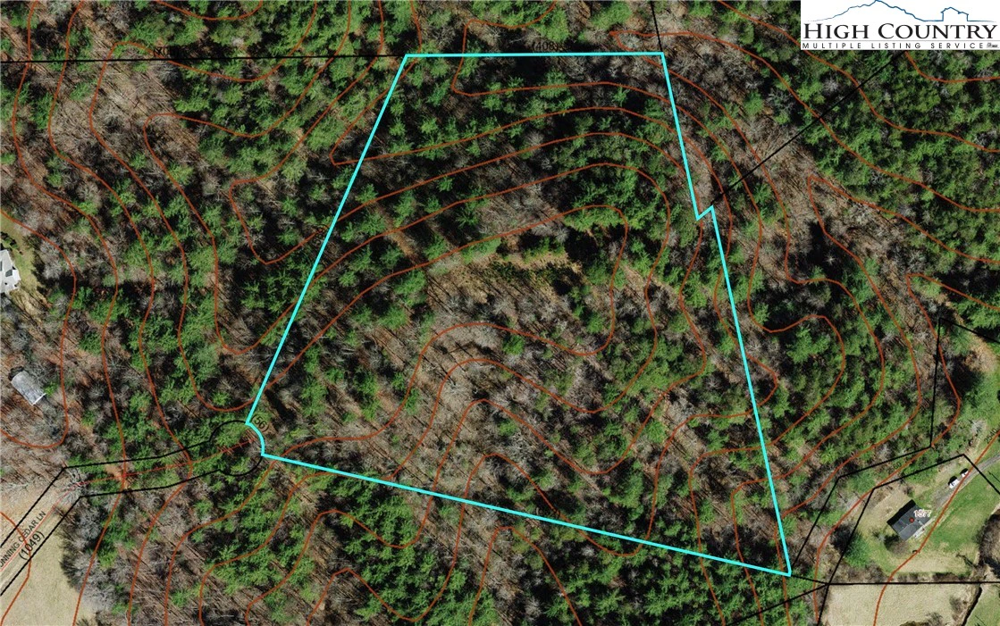 Image number 7 for the current listing