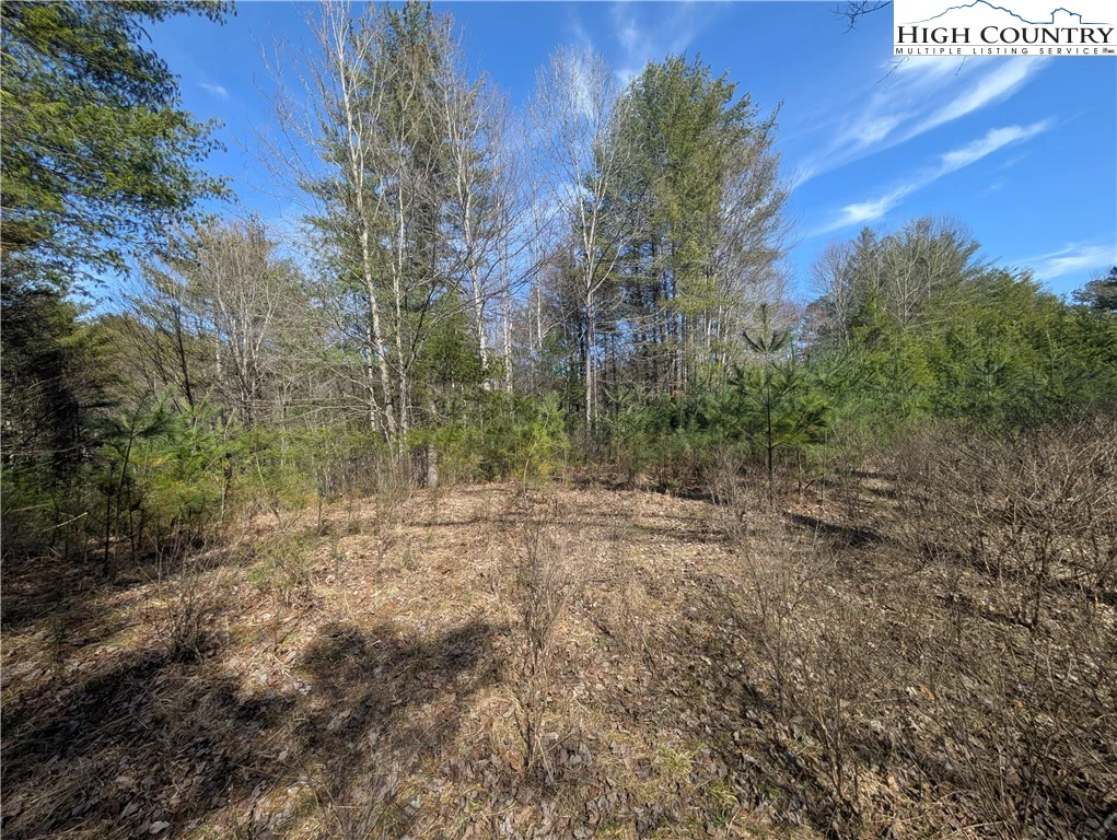 Image number 15 for the current listing